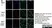 Anti MBP (aa82-87) Antibody, clone 12 thumbnail image 58