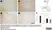 Anti MBP (aa82-87) Antibody, clone 12 thumbnail image 59