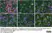 Anti MBP (aa82-87) Antibody, clone 12 thumbnail image 68