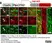 Anti MBP (aa82-87) Antibody, clone 12 thumbnail image 70