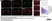 Anti MBP (aa82-87) Antibody, clone 12 thumbnail image 71