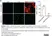 Anti MBP (aa82-87) Antibody, clone 12 thumbnail image 79