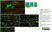 Anti MBP (aa82-87) Antibody, clone 12 thumbnail image 8