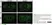 Anti MBP (aa36-50) Antibody, clone 14 thumbnail image 2