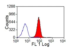 Anti Bovine MHC Class I Monomorphic Antibody, clone IL-A88 gallery image 1