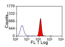 Anti Bovine MHC Class I Monomorphic Antibody, clone IL-A88 gallery image 2