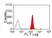 Anti Bovine MHC Class I Monomorphic Antibody, clone IL-A88 thumbnail image 2