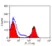 Anti Bovine MHC Class II DQ Antibody, clone CC158 thumbnail image 3