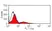 Anti Bovine MHC Class II DR Antibody, clone CC108 thumbnail image 1