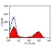 Anti Bovine MHC Class II DR Antibody, clone CC108 thumbnail image 3