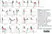 Anti Bovine MHC Class II DR Antibody, clone CC108 thumbnail image 4