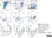 Anti Bovine MHC Class II DR Antibody, clone CC108 thumbnail image 6