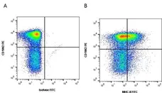 Anti Bovine MHC Class II Monomorphic Antibody, clone IL-A21 gallery image 1