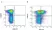 Anti Bovine MHC Class II Monomorphic Antibody, clone IL-A21 thumbnail image 1