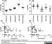 Anti Bovine MHC Class II Monomorphic Antibody, clone IL-A21 thumbnail image 2
