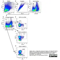Anti Bovine MHC Class II Monomorphic Antibody, clone IL-A21 gallery image 4