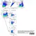 Anti Bovine MHC Class II Monomorphic Antibody, clone IL-A21 thumbnail image 4