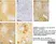 Anti Myelin Proteolipid Protein Antibody, clone plpc1 thumbnail image 14