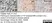Anti Myelin Proteolipid Protein Antibody, clone plpc1 thumbnail image 19