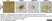 Anti Myelin Proteolipid Protein Antibody, clone plpc1 thumbnail image 21