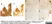 Anti Myelin Proteolipid Protein Antibody, clone plpc1 thumbnail image 3