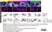 Anti Myelin Proteolipid Protein Antibody, clone plpc1 thumbnail image 38