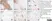 Anti Myelin Proteolipid Protein Antibody, clone plpc1 thumbnail image 5