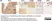 Anti Myelin Proteolipid Protein Antibody, clone plpc1 thumbnail image 8