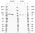 Anti PI-3 Kinase p85 Subunit Beta Antibody, clone T15 thumbnail image 2