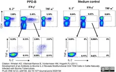 Anti Bovine TNF Alpha Antibody, clone CC327 gallery image 1