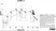 Anti Bovine TNF Alpha Antibody, clone CC328 thumbnail image 1