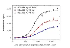 Anti Daratumumab Antibody, clone AbD44786ia gallery image 4