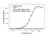 Anti Daratumumab Antibody, clone AbD44788ia thumbnail image 2