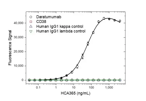 Anti Daratumumab Antibody, clone AbD44788ia gallery image 2