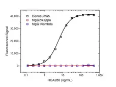 Anti Denosumab Antibody, clone AbD26295_hIgG1 gallery image 2