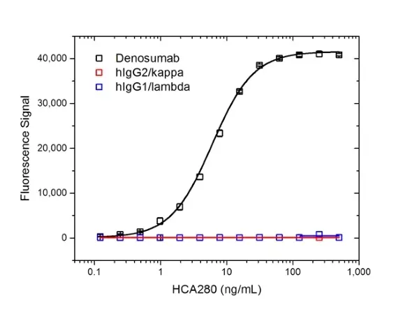 Anti Denosumab Antibody, clone AbD26295_hIgG1 gallery image 2