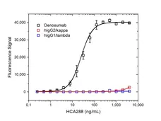 Anti Denosumab Antibody, clone AbD26296 gallery image 2