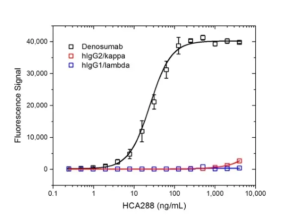 Anti Denosumab Antibody, clone AbD26296 gallery image 2