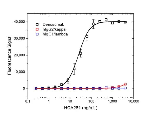 Anti Denosumab Antibody, clone AbD26296_hIgG1 gallery image 2