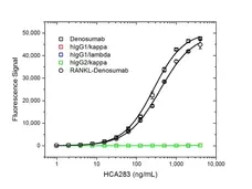 Anti Denosumab Antibody, clone AbD26781_hIgG1 gallery image 2
