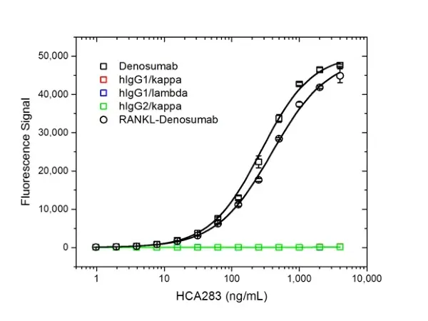 Anti Denosumab Antibody, clone AbD26781_hIgG1 gallery image 2