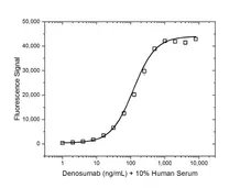Anti Denosumab Antibody, clone AbD26781_hIgG1 gallery image 5