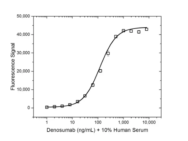 Anti Denosumab Antibody, clone AbD26781_hIgG1 gallery image 5