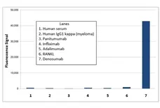 Anti Denosumab Antibody, clone AbD26862_hIgG1 gallery image 1