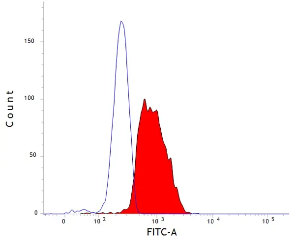 Anti Dog CD107b Antibody, clone AC17 gallery image 2