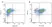 Anti Dog CD11b Antibody, clone CA16.3E10 thumbnail image 1