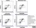 Anti Dog CD11b Antibody, clone CA16.3E10 thumbnail image 11