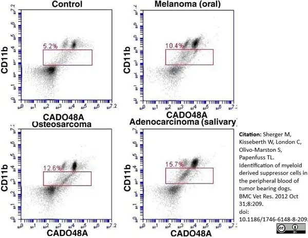 Anti Dog CD11b Antibody, clone CA16.3E10 gallery image 11