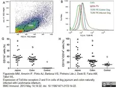 Anti Dog CD11b Antibody, clone CA16.3E10 gallery image 12