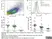 Anti Dog CD11b Antibody, clone CA16.3E10 thumbnail image 12